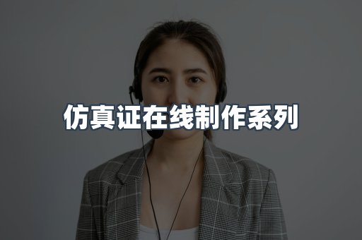 仿真证在线制作